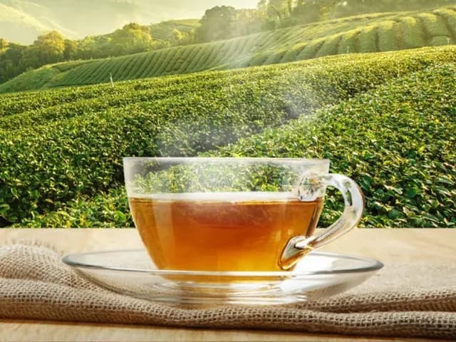 Organic Hot Tea