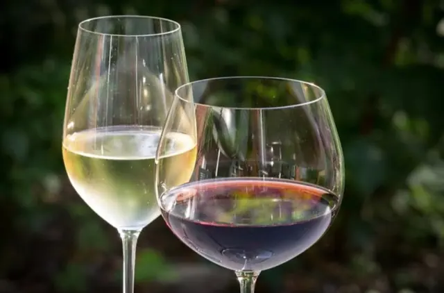 White/Red Wine Glass