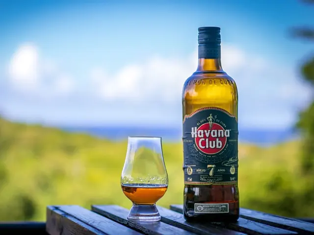 Havana 7