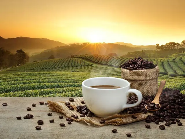 American Coffee