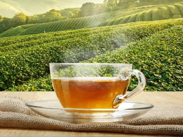 Tè Caldo Biologico